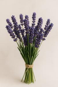 lavender_bouquet_small Levandų puokštė